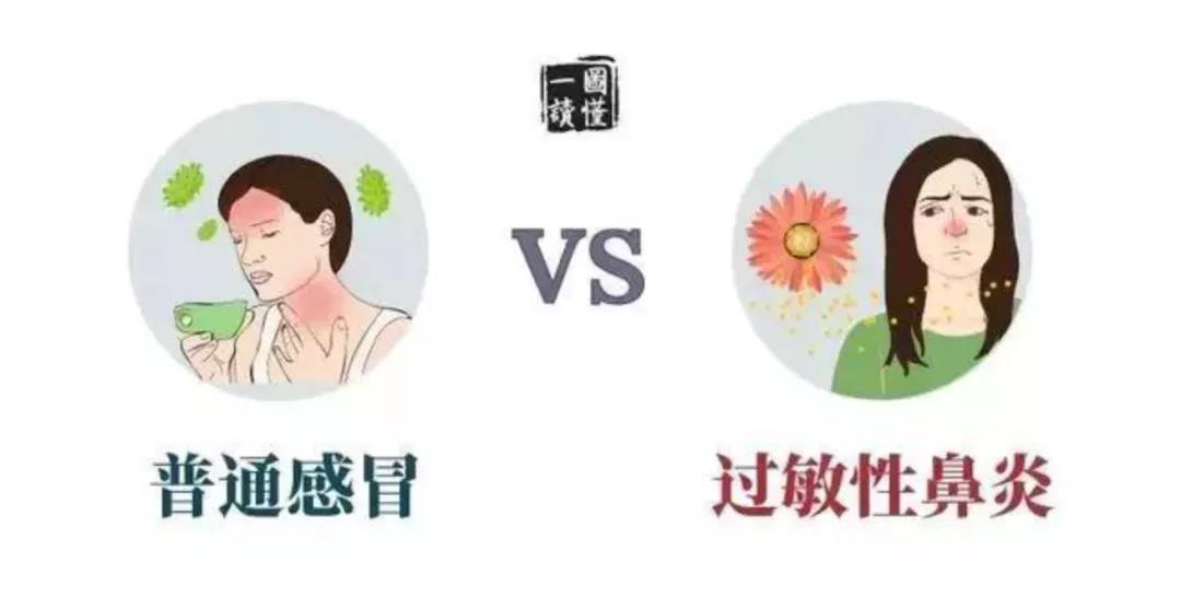 过敏性鼻炎