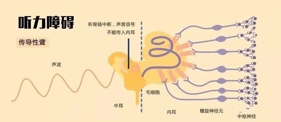 重庆耳鼻喉医院