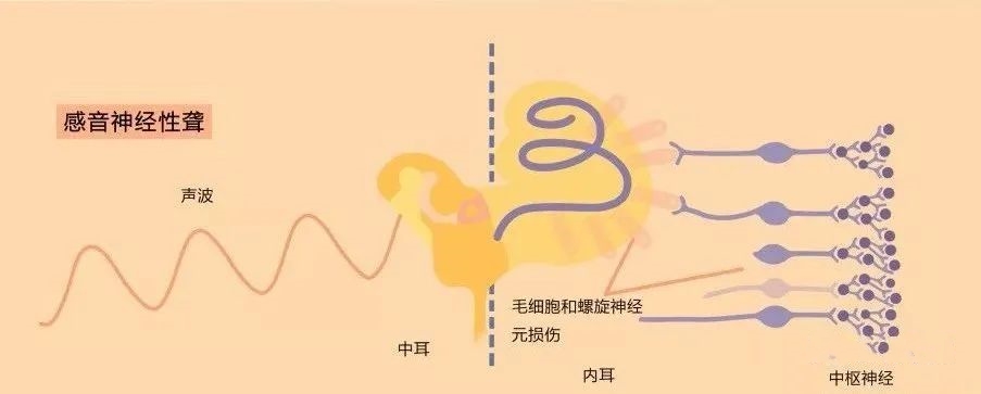 仁品耳鼻喉医院